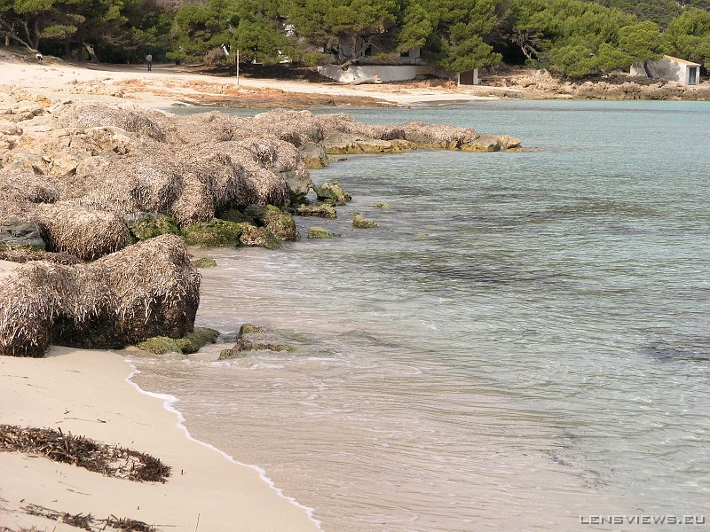 2006_11_21 13_57_32 OLYMPUS DIGITAL CAMERA         